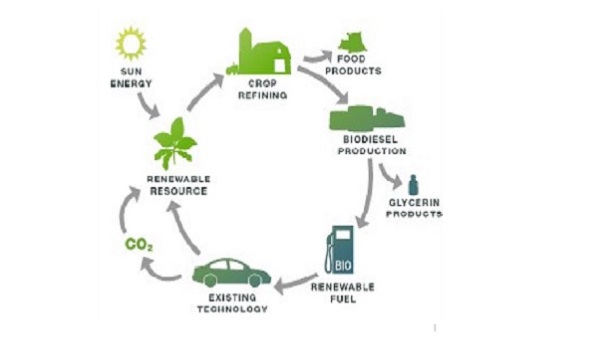 Green Diesel E Biodiesel - Idee Green