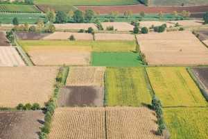 Agricoltura sostenibile in Italia - Idee Green