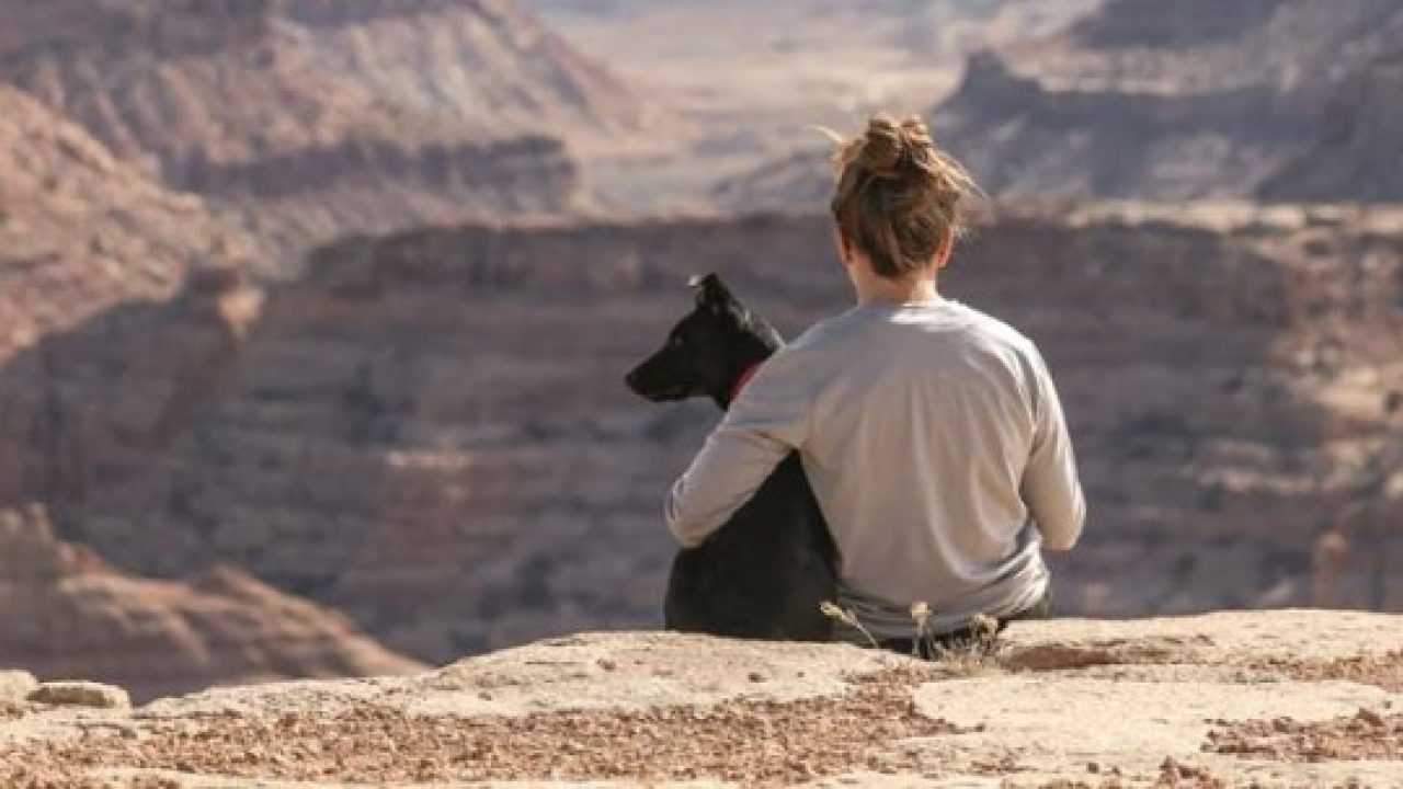 Cani E Bambini Frasi E Consigli Idee Green